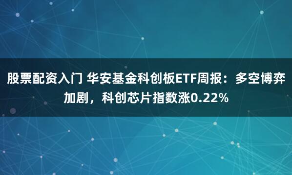 股票配资入门 华安基金科创板ETF周报:多空博弈加剧,科创芯片指数涨0.22%