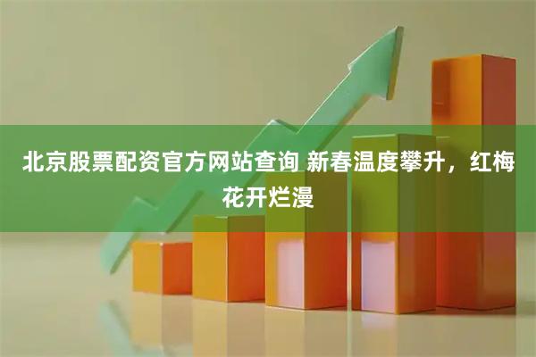 北京股票配资官方网站查询 新春温度攀升，红梅花开烂漫