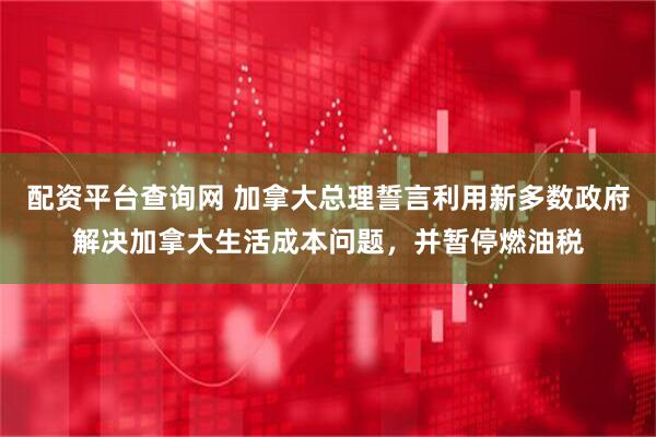 配资平台查询网 加拿大总理誓言利用新多数政府解决加拿大生活成本问题，并暂停燃油税