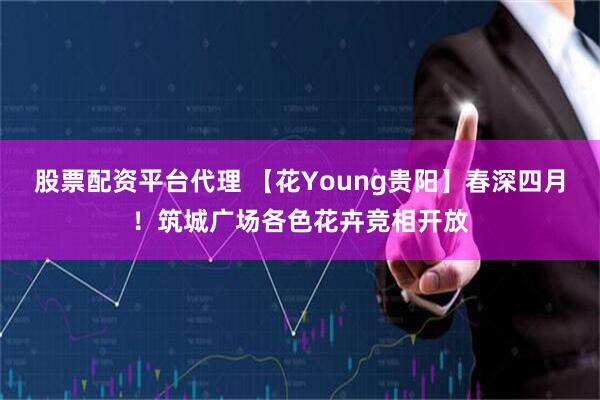 股票配资平台代理 【花Young贵阳】春深四月！筑城广场各色花卉竞相开放